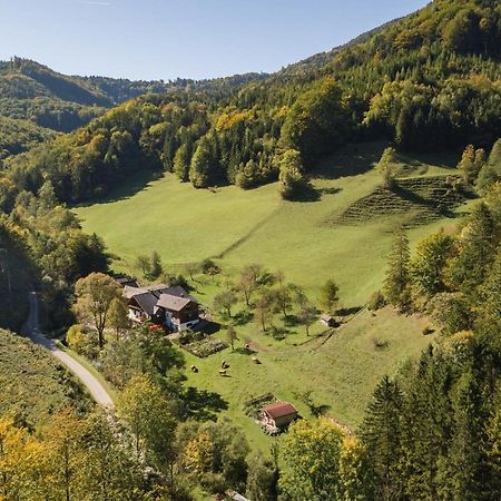 Urlaub Mitten Im Wald - Lueg シャイプス郡 エクステリア 写真