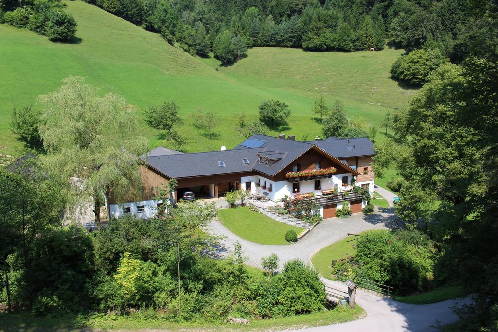 Urlaub Mitten Im Wald - Lueg シャイプス郡 エクステリア 写真