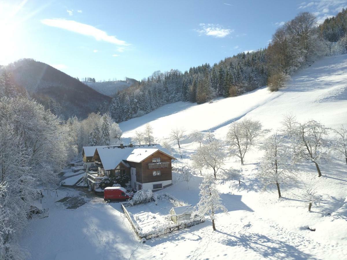 Urlaub Mitten Im Wald - Lueg シャイプス郡 エクステリア 写真
