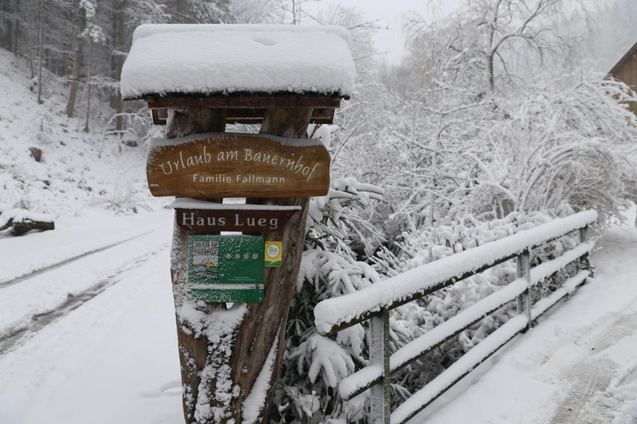 Urlaub Mitten Im Wald - Lueg シャイプス郡 エクステリア 写真